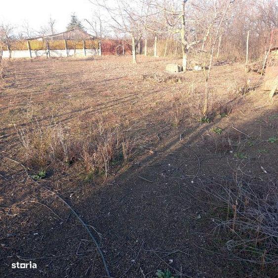 Vand teren intravilan , Islaz, Ilfov - 5