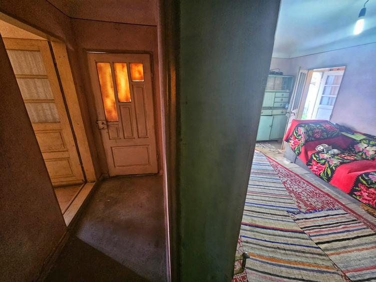 Exclusivitate! Casă cu teren generos în Sat Olteni, Com.Teișani - 29