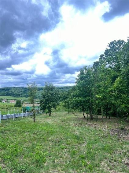 RECO teren de vanzare in zona Betfia - 5