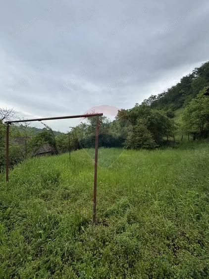 Casa in mijlocul naturii in Sighi?oara, 912 mp teren - 12