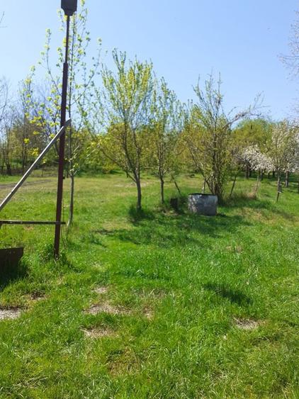 Casa de vanzare , - 1