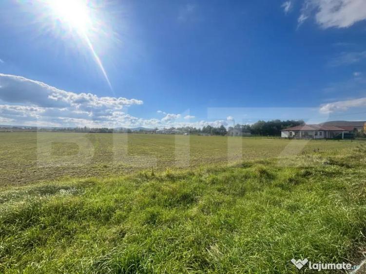 Teren Extravilan in Apropiere de Jelna 25.800 mp, cu Ut - 1