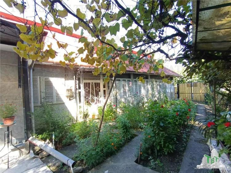 Casa, gradina si curte intrun peisaj de poveste, aici in Slanic Prahova, unde aerul este curat si tu - 1