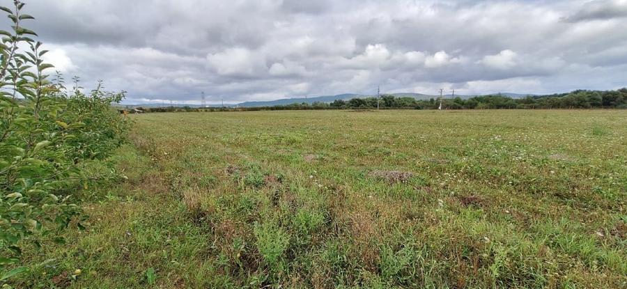 Vand teren intravilan Rascruci, com. Bontida - 1