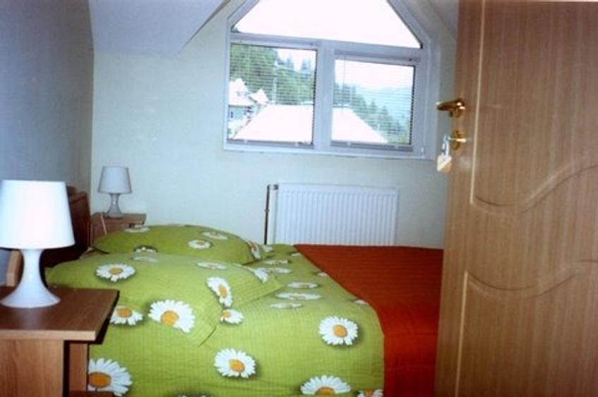 Vila cu 13 camere de vanzare in Valcea, Voineasa - 11