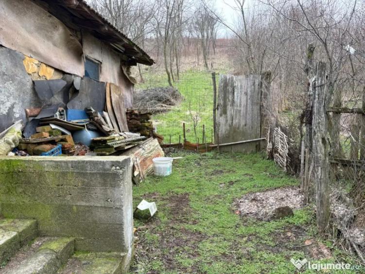 Teren 2.038 mp + Casa 50 mp de vanzare Sat Luncsoru, C - 4