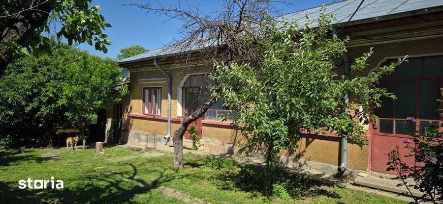 Casa si teren pe marginea deltei Comana - 3