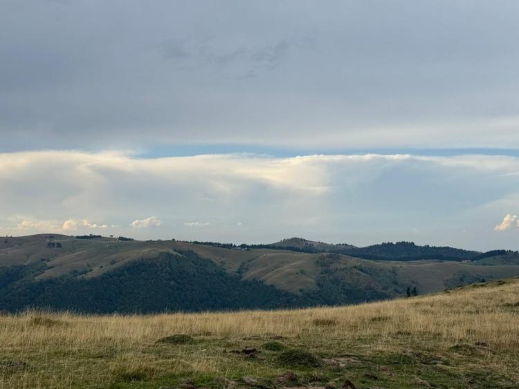 Teren Extravilan de Vânzare în Păltiniș - Oportunitate Excepțională Investiții! - 3