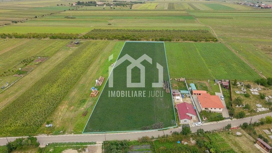 Teren INT construcție duplex / case cuplate 1503 mp - Jucu de Sus - 6