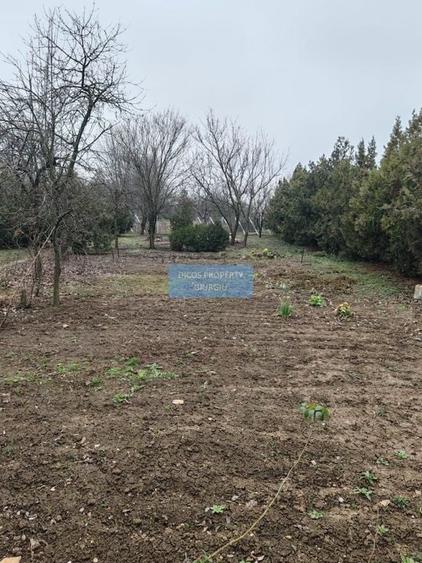 Teren 2.600 mp, utilități, Str. Merișor – Giurgiu - 4