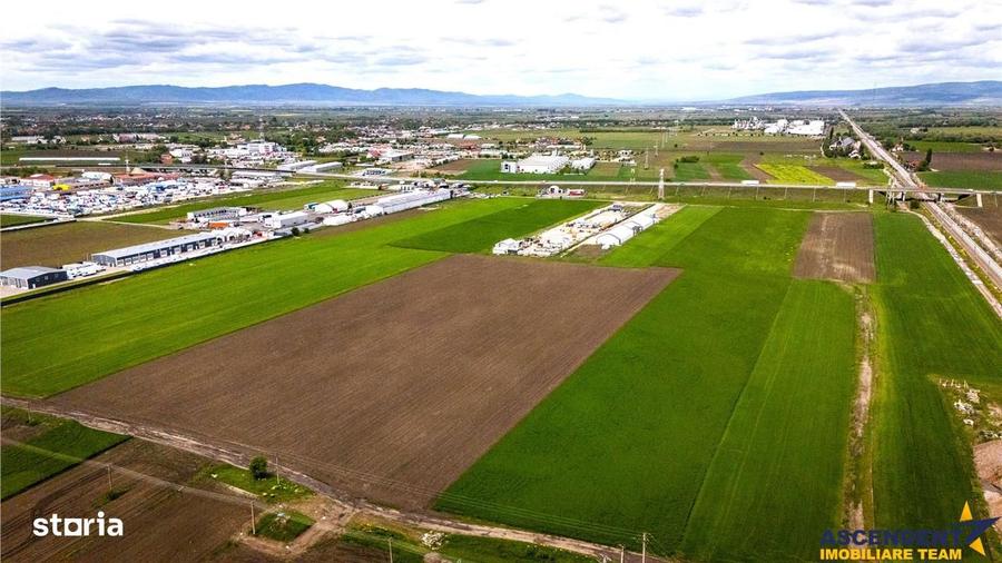 FILM! Teren intravilan, cu PUZ, pe 10.000 mp, Grivitei, Brasov - 1