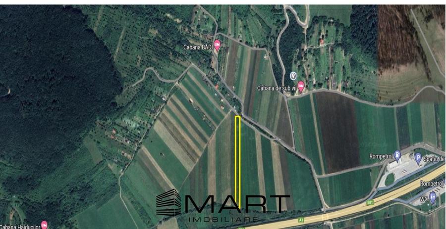 Teren extravilan 4800mp acces auto, Cristian - 1