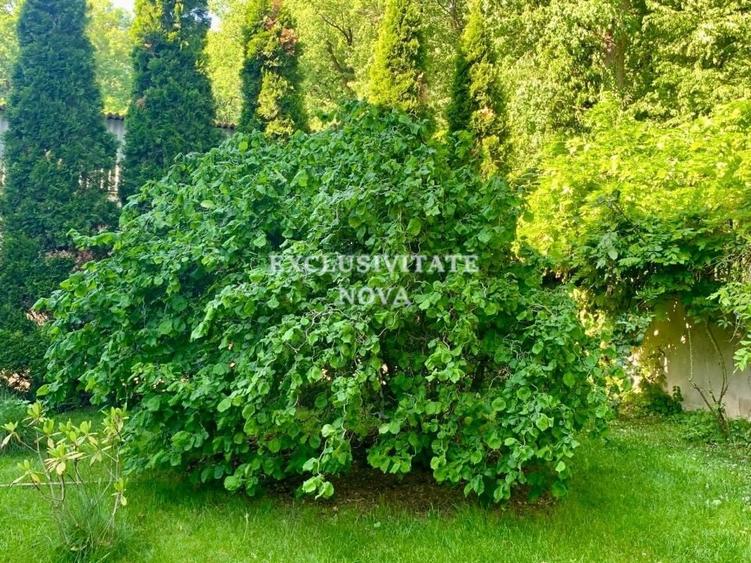 Vanzare Vila Baneasa - Willbrook - cu Deschidere la Padure ! - 24