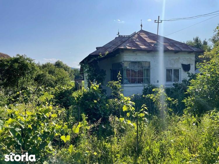 Vand Casa + teren 12.000 mp in Cernisoara, sat Modoia, Valcea - 3