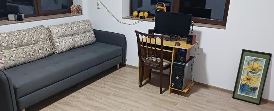 Chelinta, casa 1,2ha teren - 7