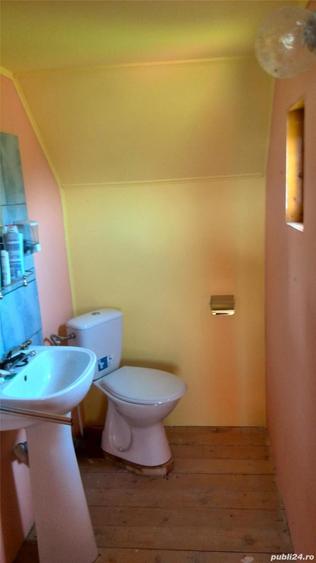 Cabana zona Botesti - 6