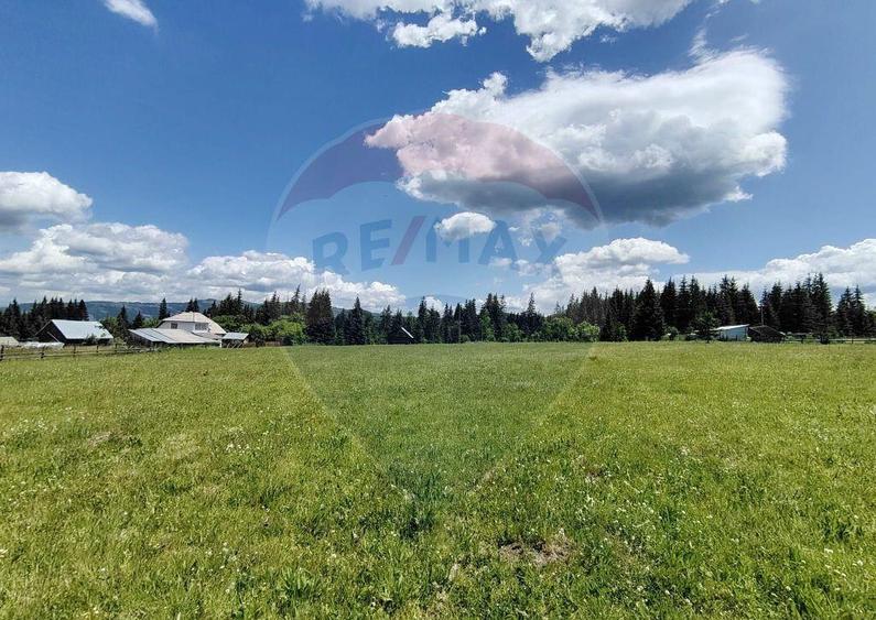 Teren 19,370mp Neagra Sarului / Strada ?estina - 1