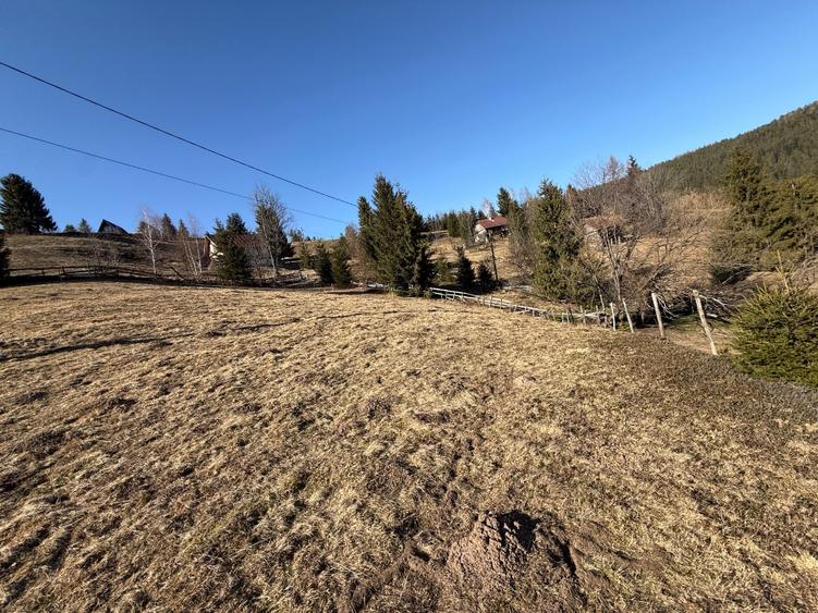 Teren de vânzare intravilan în Arieșeni (Alba) - 6