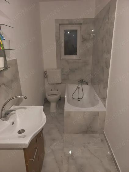 Vand casa Lozna jud Salaj - 10