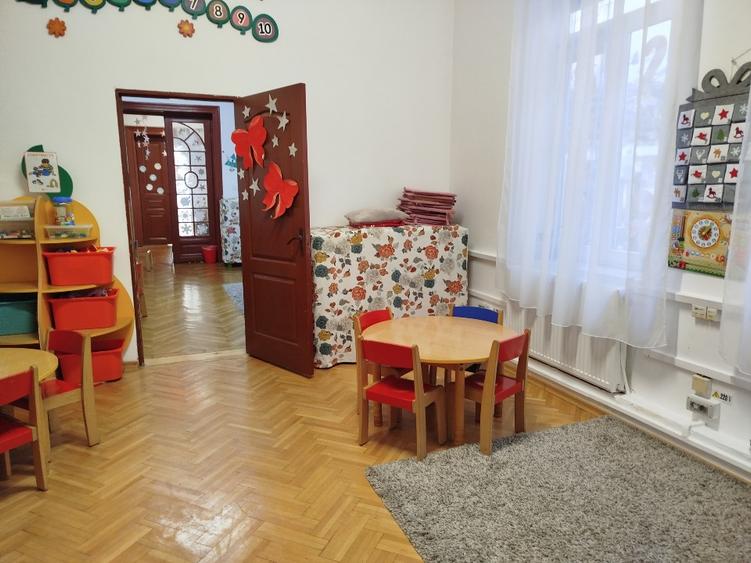 Spatiu mare si parcare vila unica cu prestanta in locatie eleganta Pache Mosilor - 11