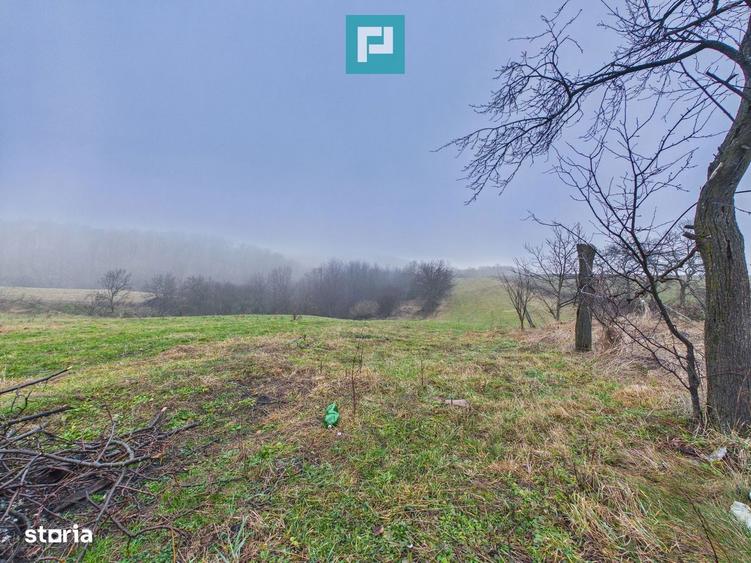 Casa si teren 5.000 mp in Poiana-Tasad, Bihor - 5