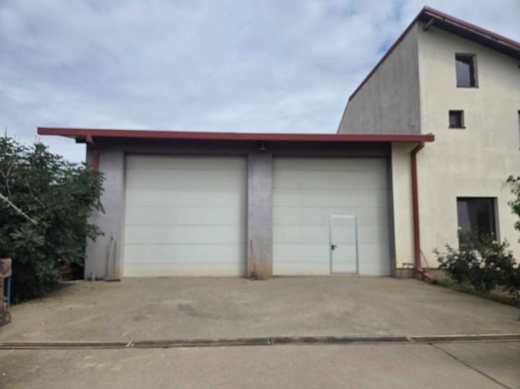 vanzare casa cu hala - Matei Millo Voluntari - 6