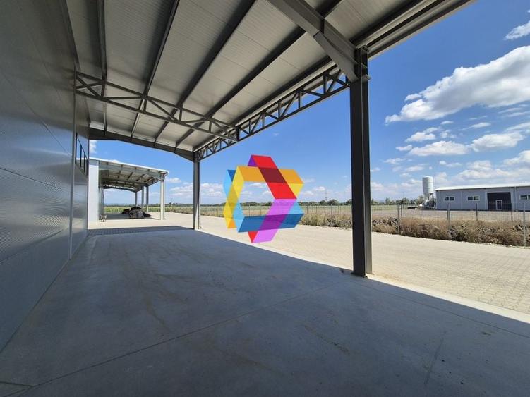 Hala - 1400 mp  # plus-imo.ro - 14