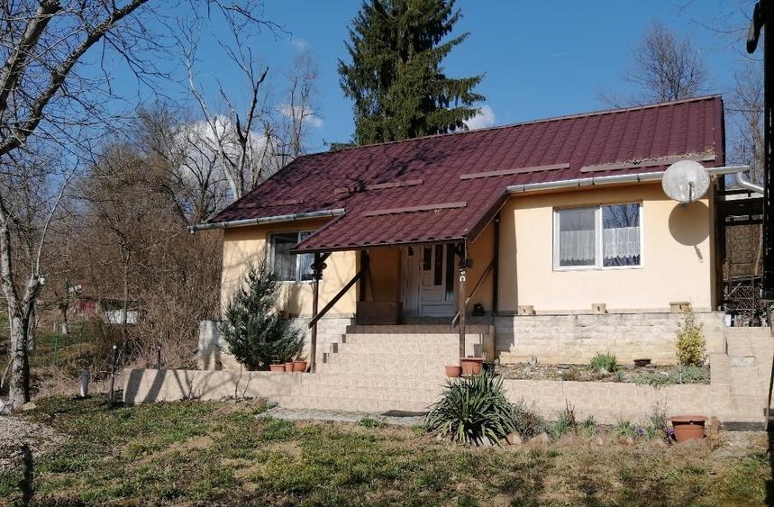 Casă de vacanță la marginea pădurii - 1