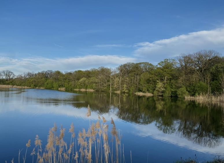 Teren la lac centru Corbeanca, vedere lac si padure, toate utilitatile - 11