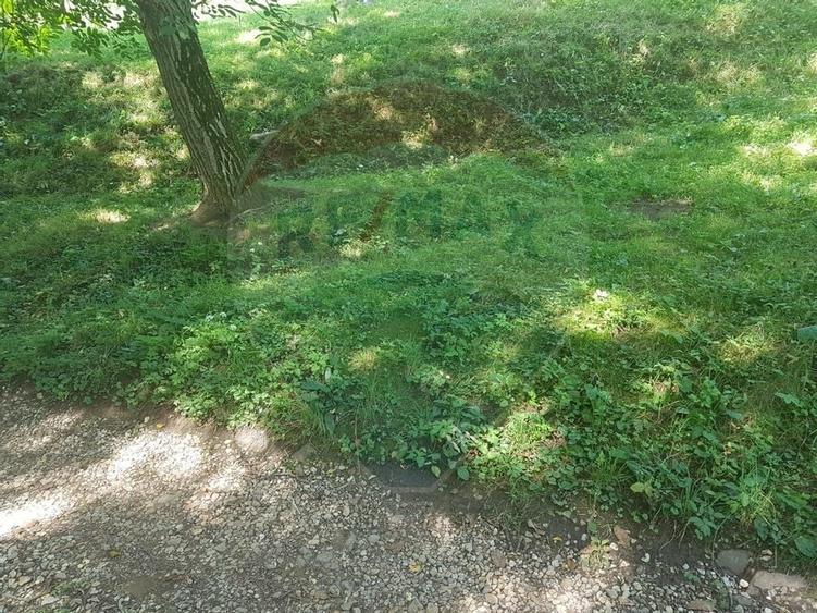 1.72 ha TEREN DE VANZARE - Seini - 3