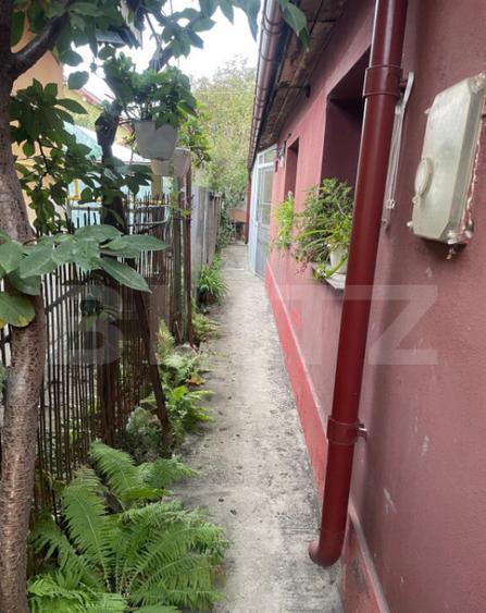 Casa 4 camere, 790 mp teren, zona Bariera Vilcii - 6