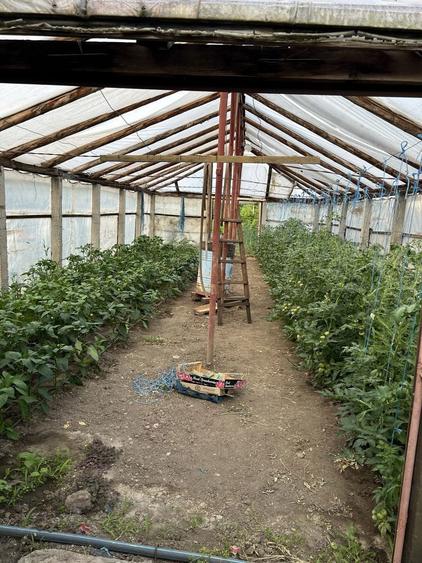 Casa Lacu Sarat Braila - 3