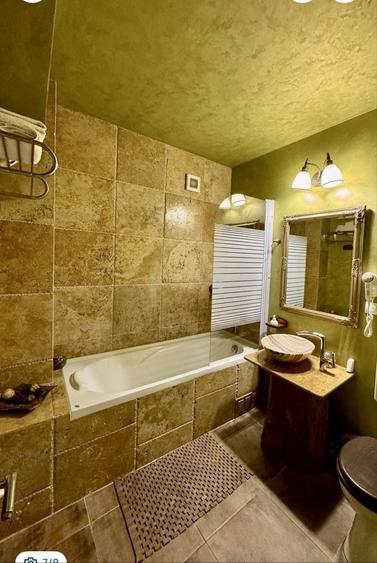 Apartament de inchiriat Brazda lui Novac - 3