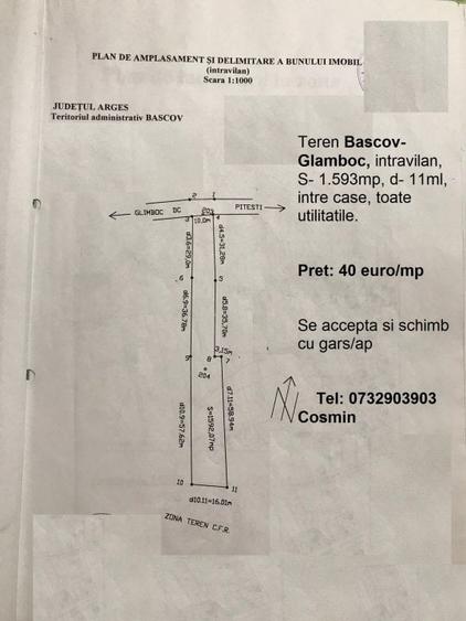 Teren Bascov, diverse suprafete - 3