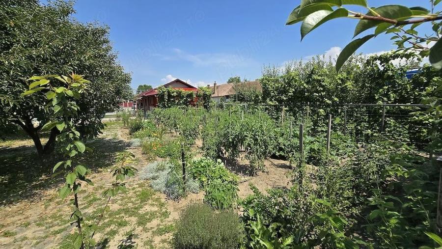Vand casa in Suseni ,jud Mure? - 7