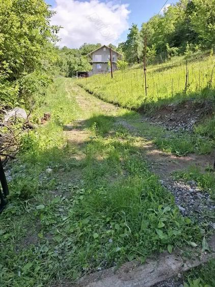 Superba casa cu teren ,garaj !! - 3