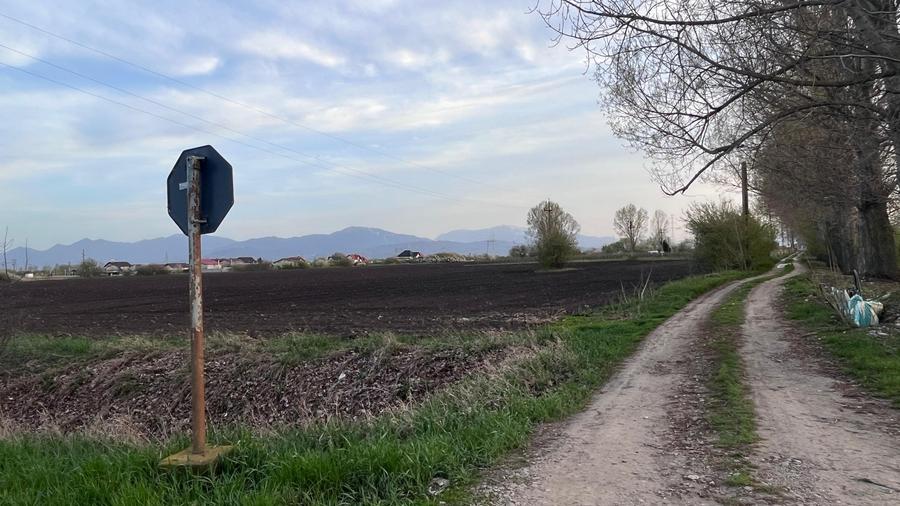 Teren 50000mp Extravilan-Intrare Halchiu-Cod 4486 - 7