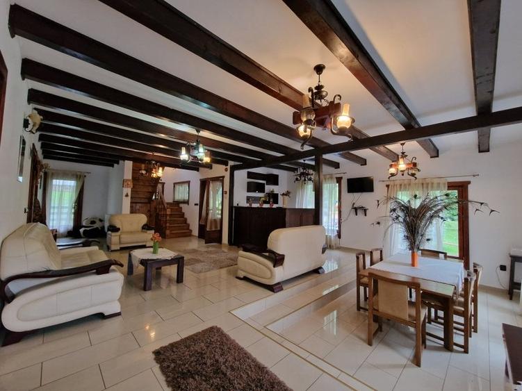 Complex Turistic - 900 mp utili -  teren 3000 mp - Piscina - zona turistica - 31