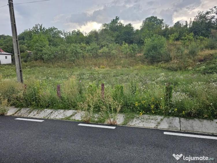 Loturi de vanzare! - 1