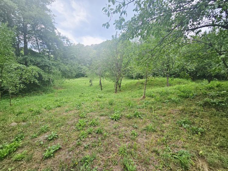 Teren intravilan de vânzare – 2.190 mp – Podu Vadului, Breaza - 3