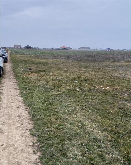 RECO Teren intravilan in Livada de Bihor 1000mp - 4