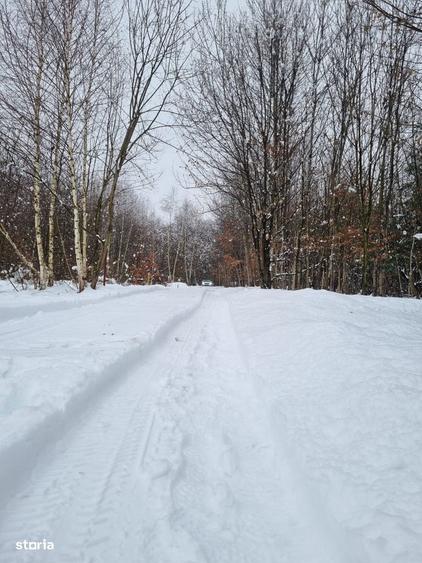 Teren extravilan 2200 mp, zona Calea Poplacii, la 5 min de Valea Aurie - 3