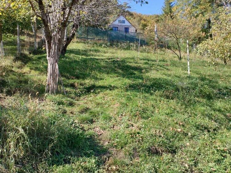 Casa de vanzare Ana Ipatescu - 5