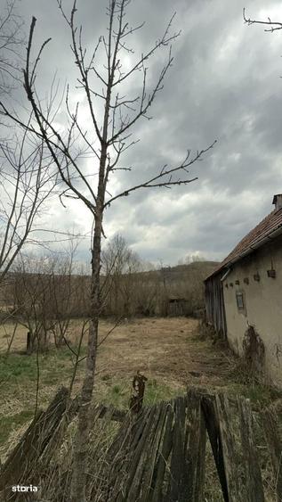 Casa de vanzare in Stupini, comuna Sanmihaiu de Campie teren 35 ari - 7