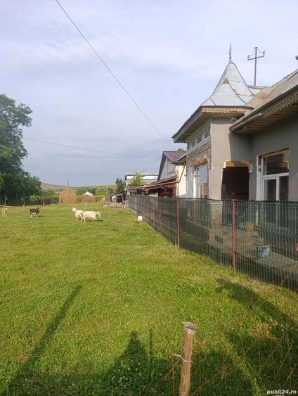 Teren intravilan, Carligi,com. Stefan cel Mare - 2