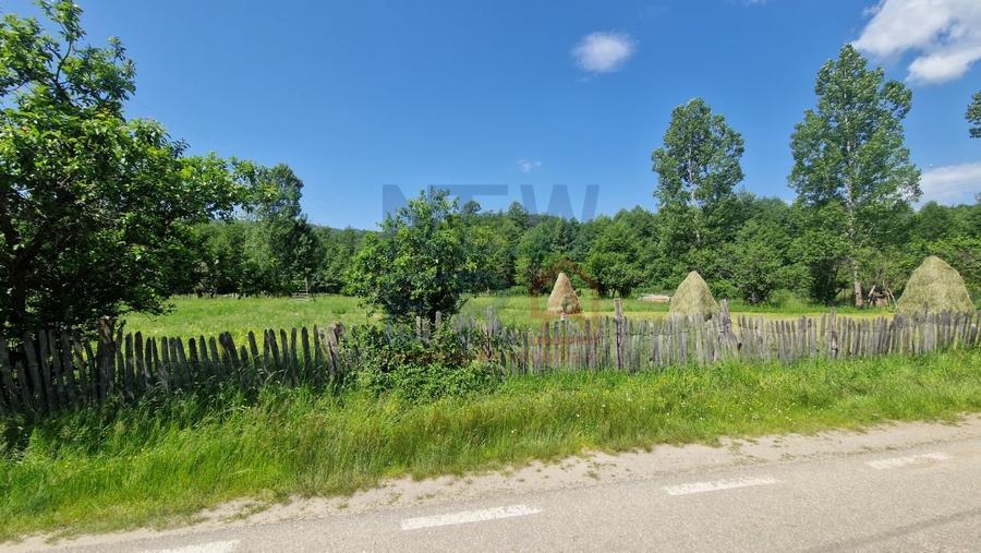 Teren de vanzare in judetul Arges, localitatea Arefu - 1