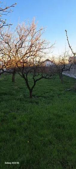 De vanzare casa pe strada lini?tita in Giarmata - 1