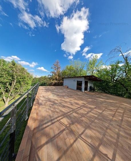 Oportunitate de investitie restaurant in Parcului Tineretului - 9