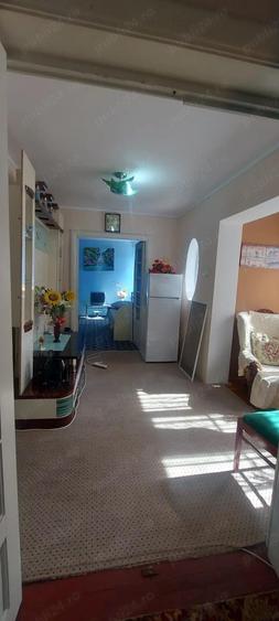 Stadion - Delfinariu - Casa - 1