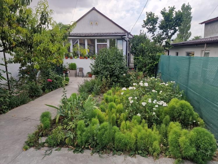 Casa cu suflet in centrul Medgidiei– gradina superba - 22